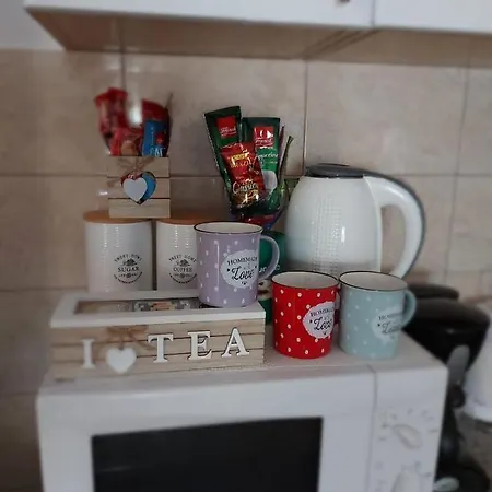 Miletic Apartament