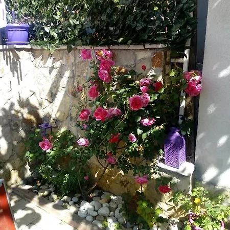 Apartman Miletic Mostar